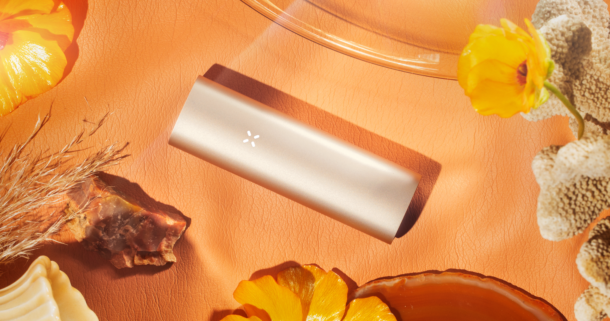 6 Best vaporizers of 2021